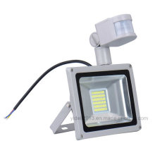 Nouvelle lampe de paysage extérieure 30W SMD LED Projecteur